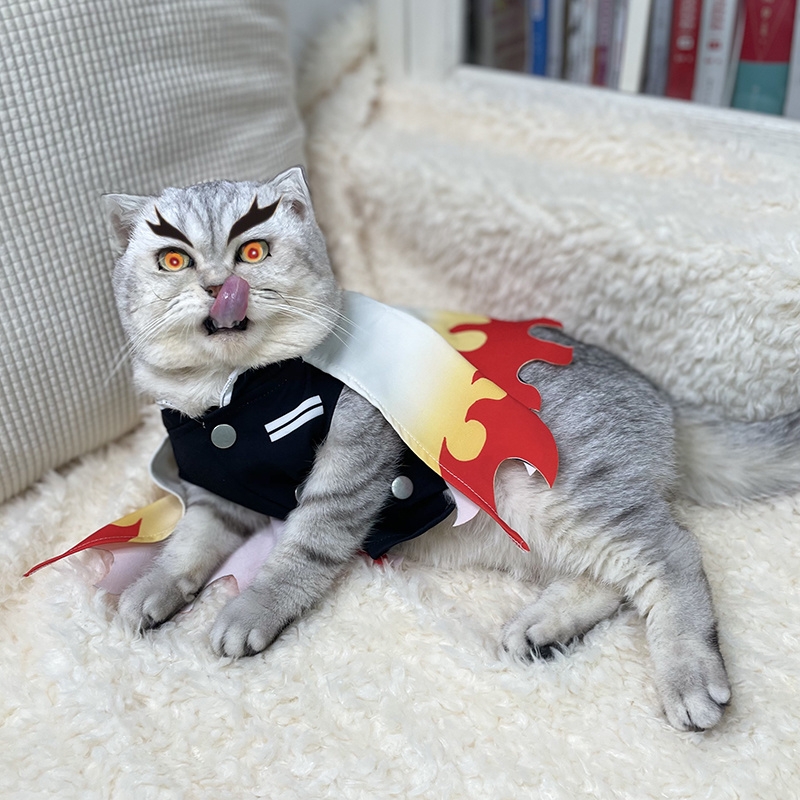 Demon Slayer Pet Cosplay Rengo - Cosplay Flame Prop review and price