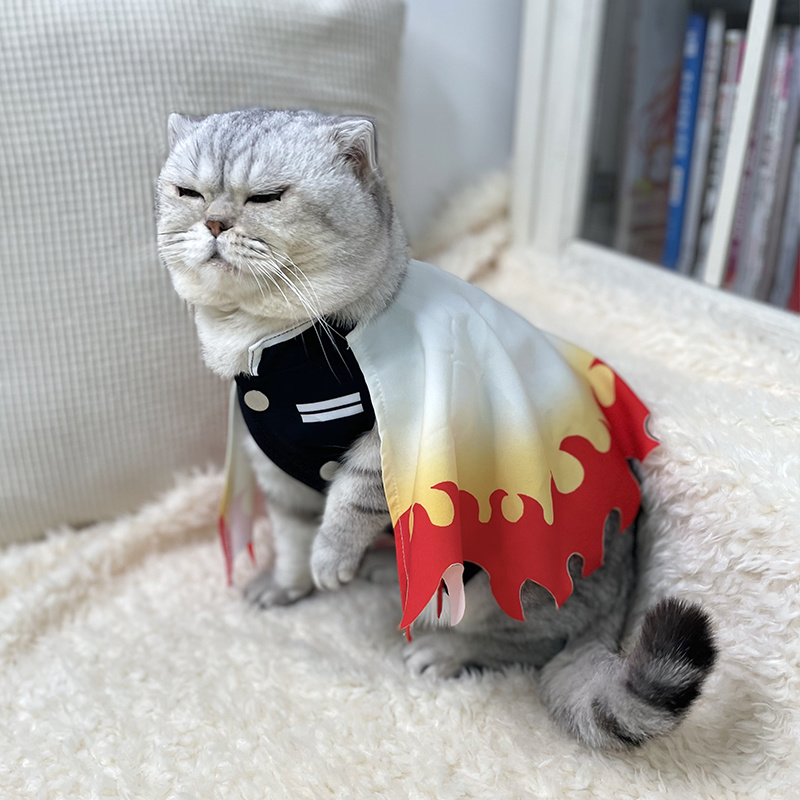 Demon Slayer Pet Cosplay Rengo - Cosplay Flame Prop review and price