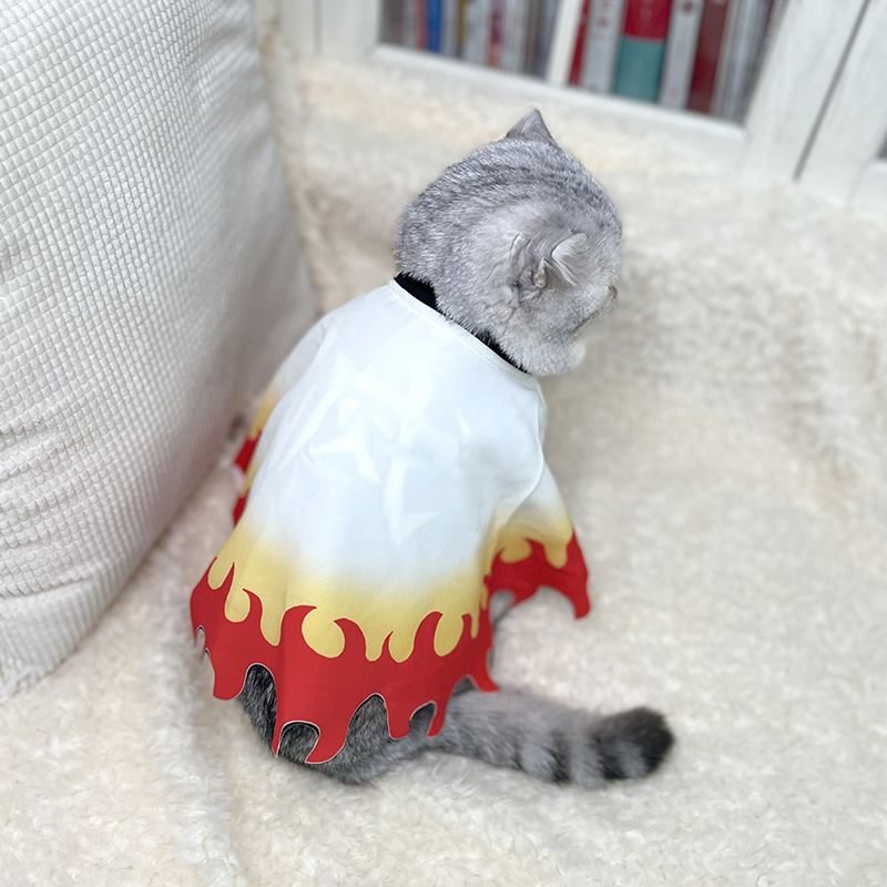 Demon Slayer Pet Cosplay Rengo - Cosplay Flame Prop review and price